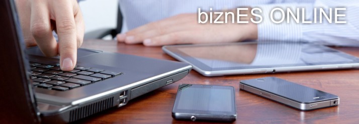 biznES ONLINE