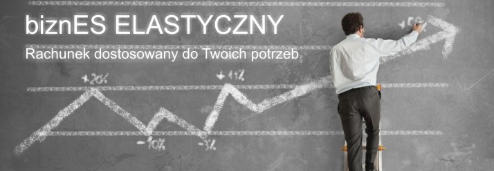 biznES Elastyczny