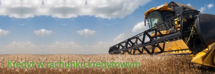 Kredyt w rachunku kredytowym